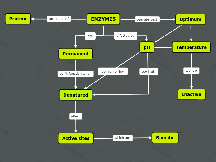 ENZYMES Mind Map